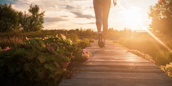 Low-Impact Workouts That Still Burn Calories