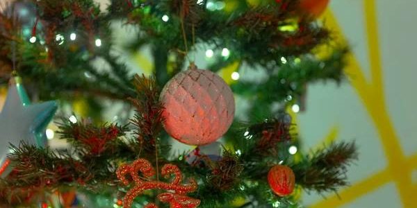 Creating Magical Moments Custom Holiday Lighting for Homes and Businesses