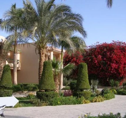 Trends and Patterns Spotted in Recent Westgate Resorts Reviews