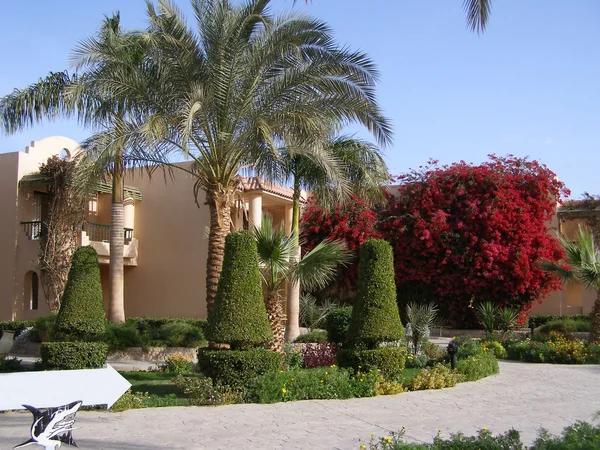 Trends and Patterns Spotted in Recent Westgate Resorts Reviews